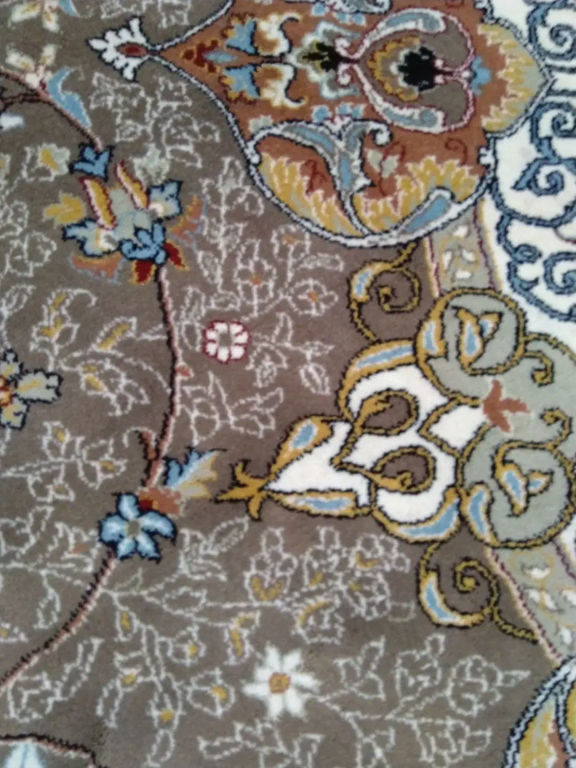 فرش زیبا و باکیفیت|فرش|قوچان, |دیوار