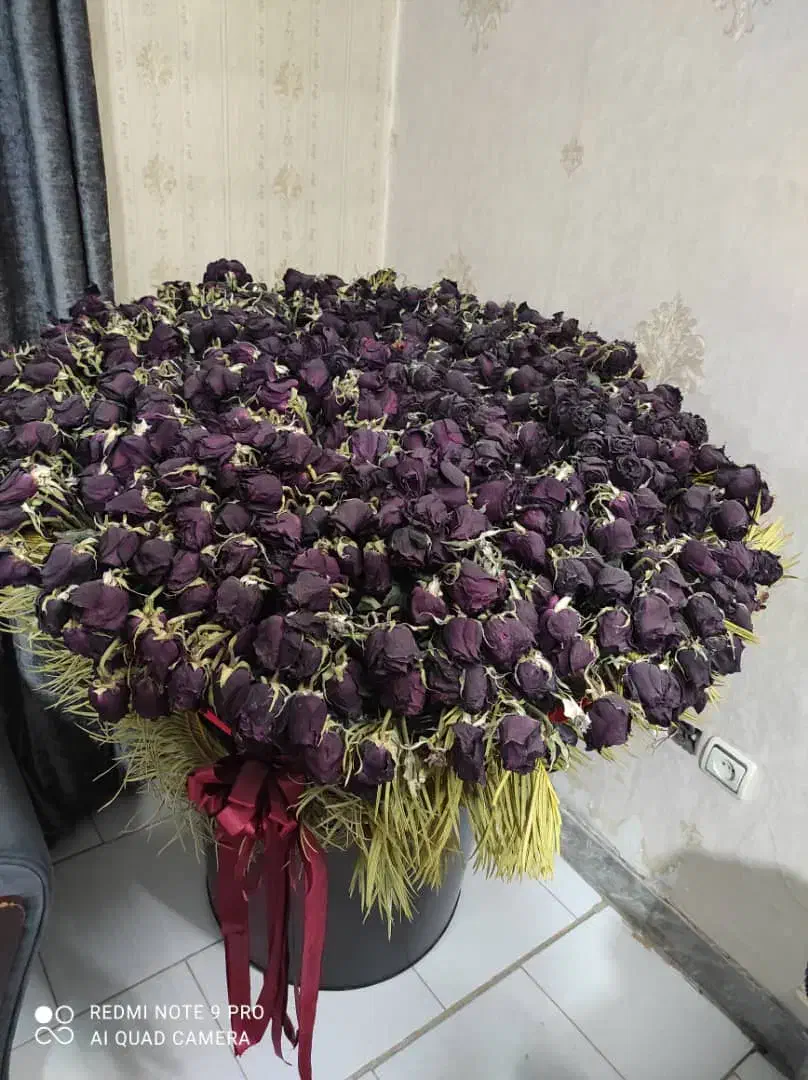 گل خشک با گلدان|گل و گیاه طبیعی|ری, هاشمآباد|دیوار