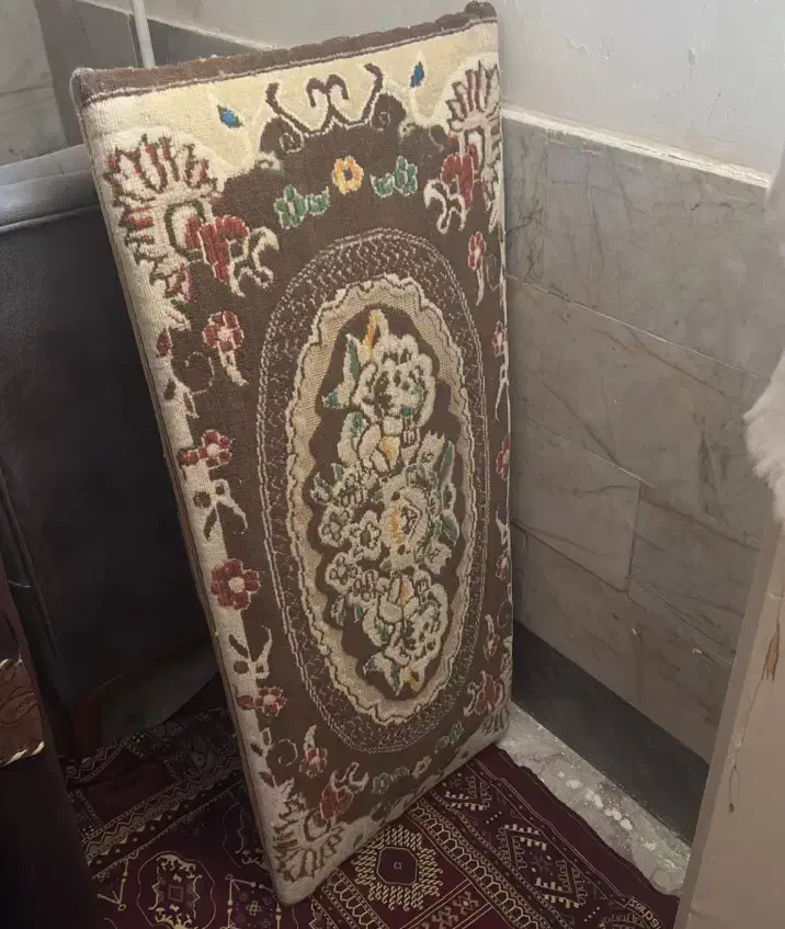 پشتی ۲ جفت|پشتی|گرگان, |دیوار