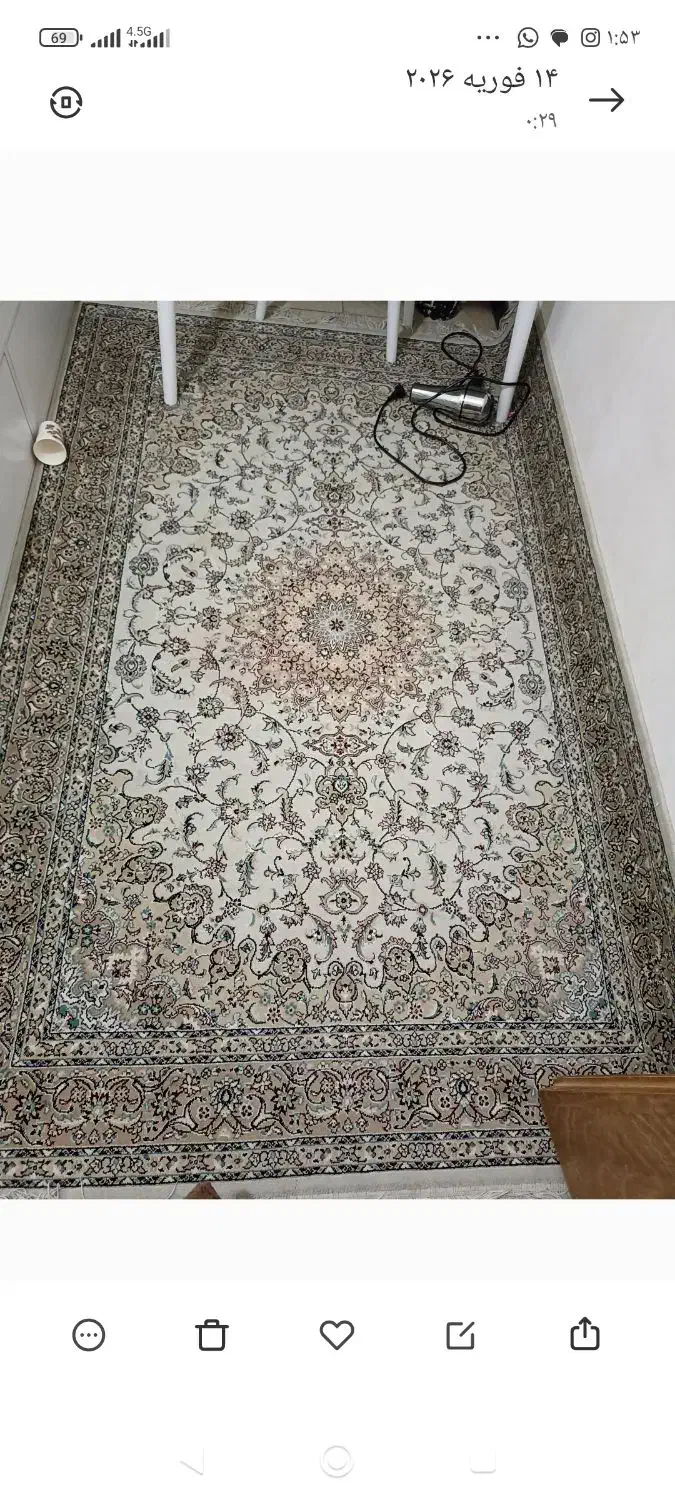 فرش|فرش|اصفهان, بهارستان|دیوار