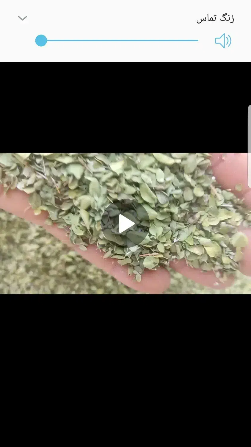 آویشن،بابونه و...|خوردنی و آشامیدنی|شیراز, پادگان ولیعصر|دیوار