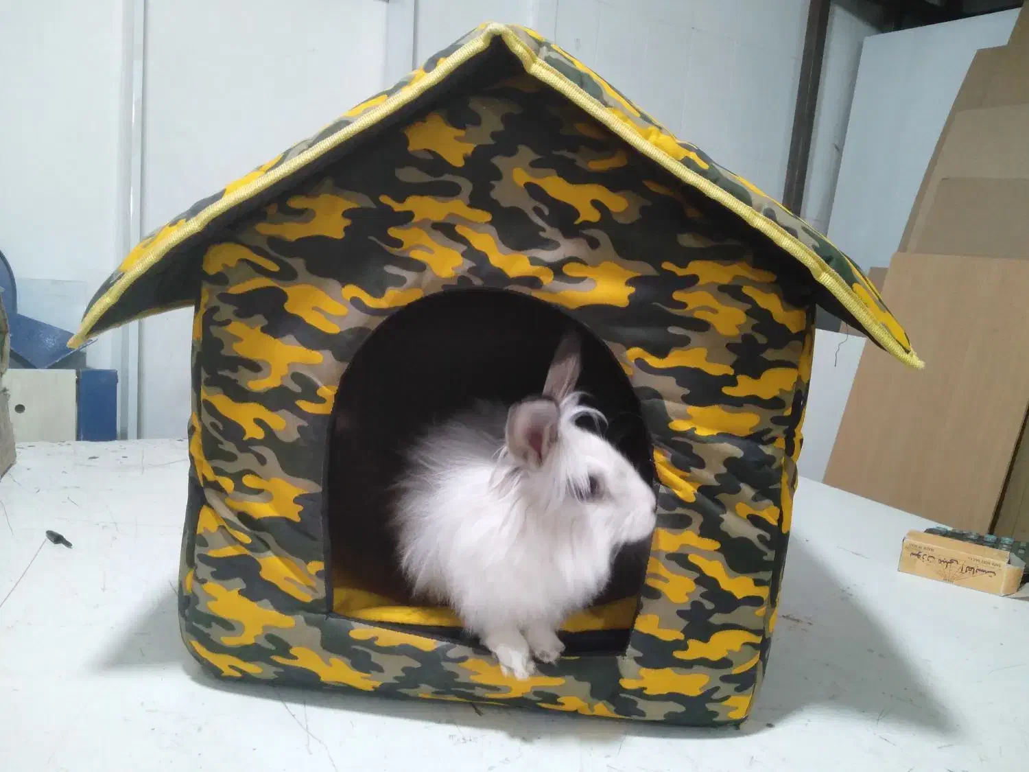 خرگوش|موش و خرگوش|مهاباد (آذربایجان غربی), |دیوار