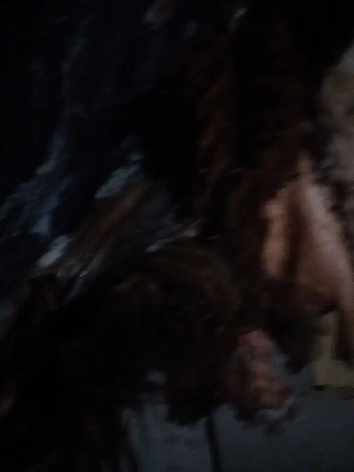 پوست گوسفندفروشی|حیوانات مزرعه|زیرکوه, |دیوار