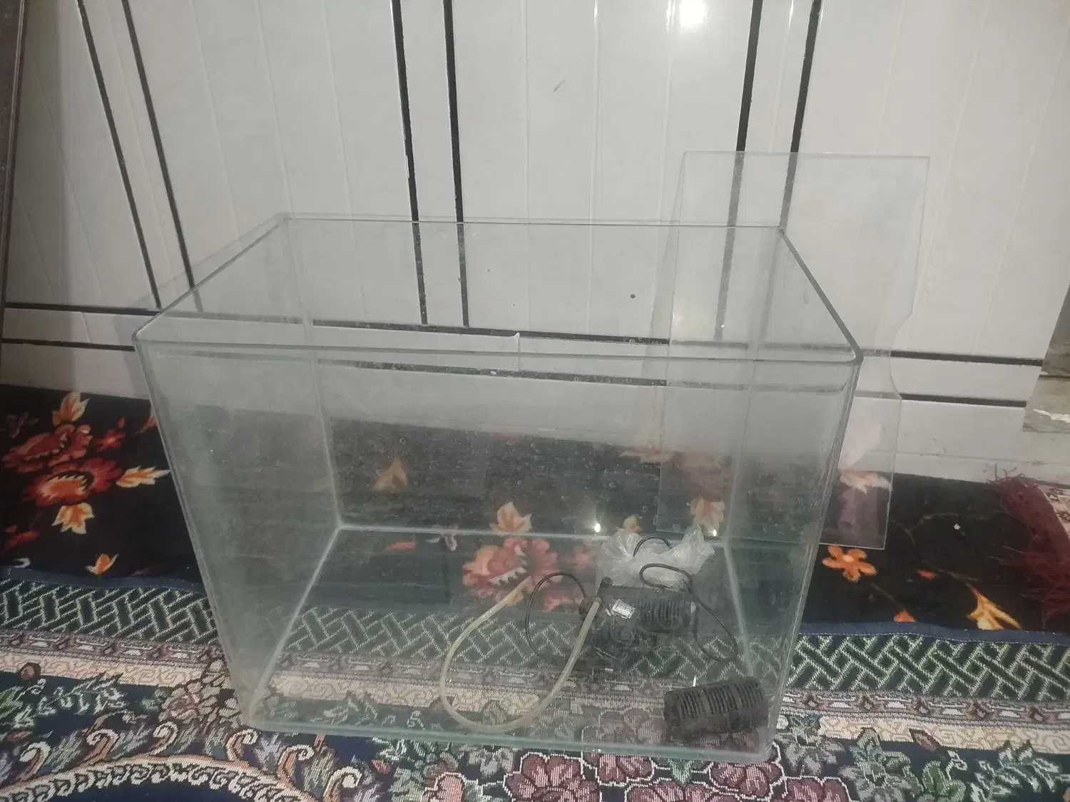 اکواریوم‌ شیشه خم|ماهی|اهواز, گلدشت|دیوار