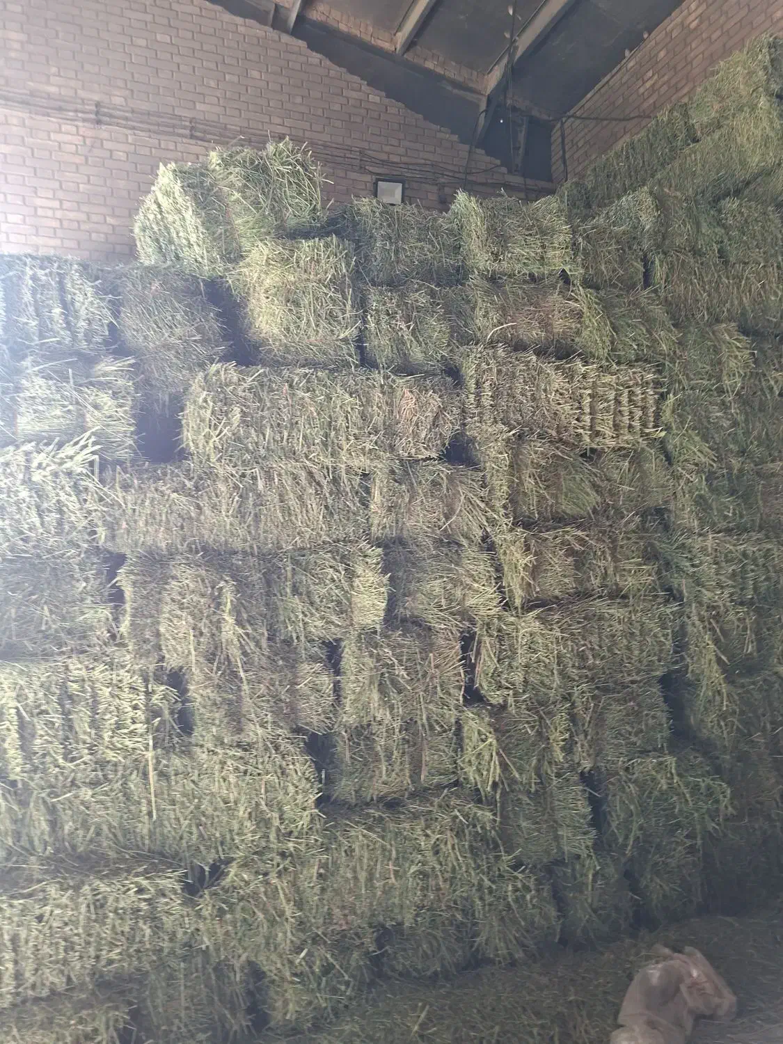 یونجه|لوازم جانبی حیوانات|پیر سلیمان, |دیوار