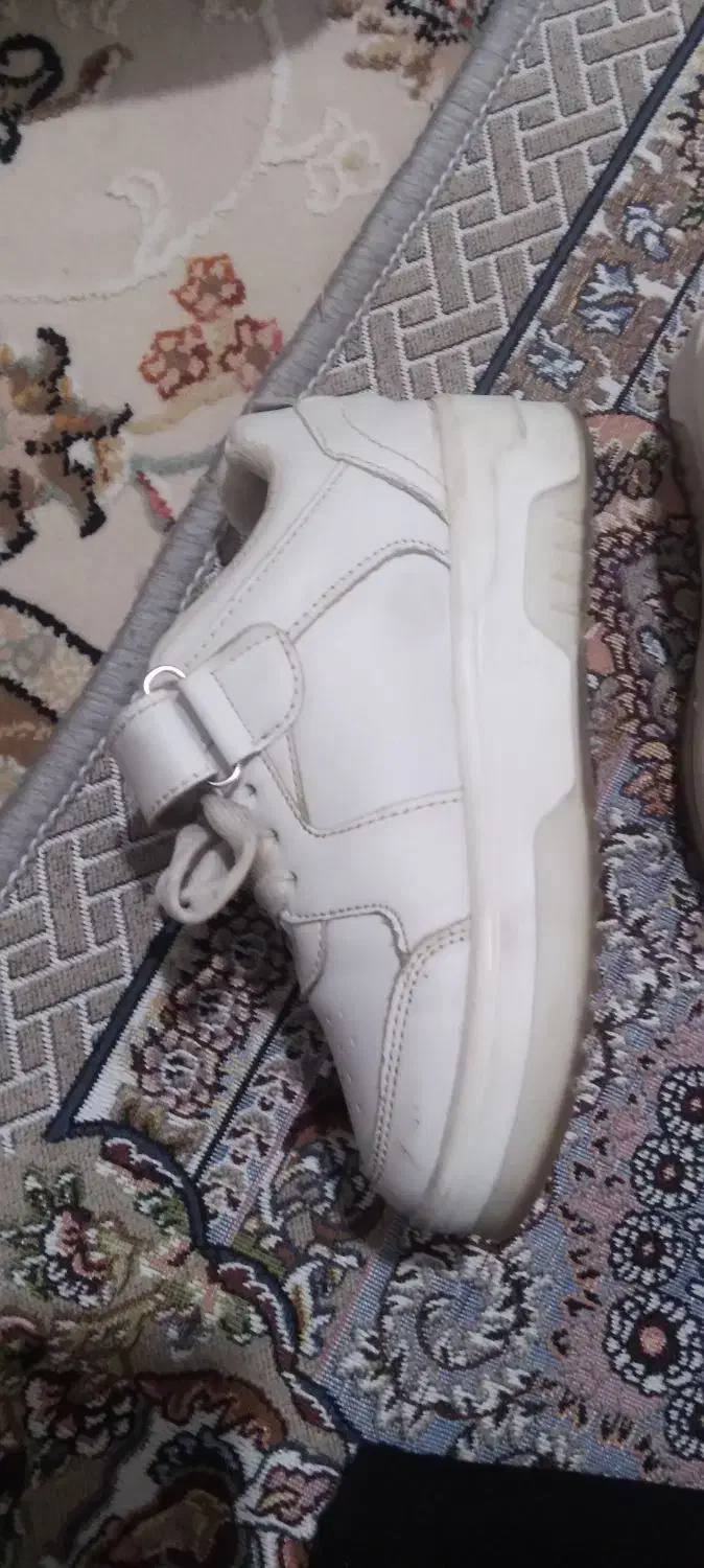 کفش|کیف، کفش، کمربند|کوهدشت, |دیوار