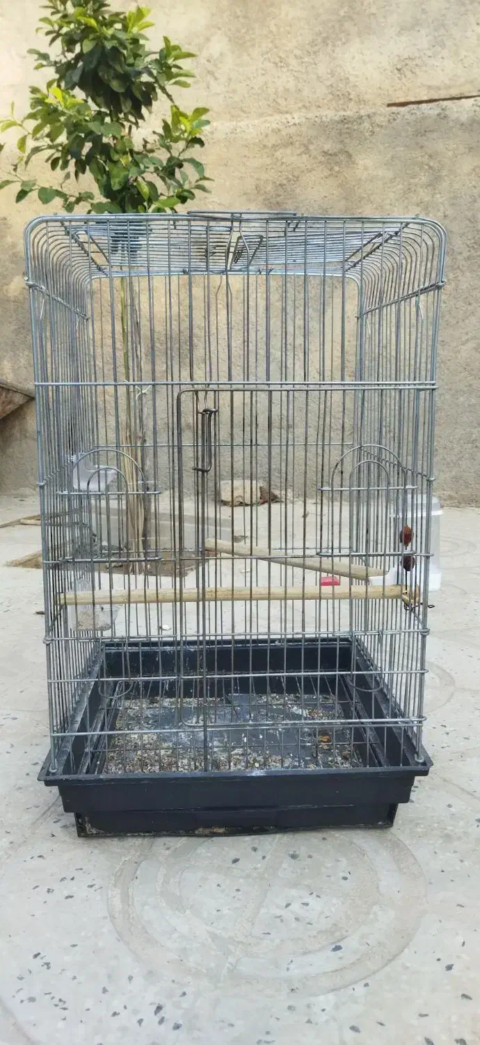 پارک سگ وقفس پرنده|لوازم جانبی حیوانات|فیروزآباد (فارس), |دیوار