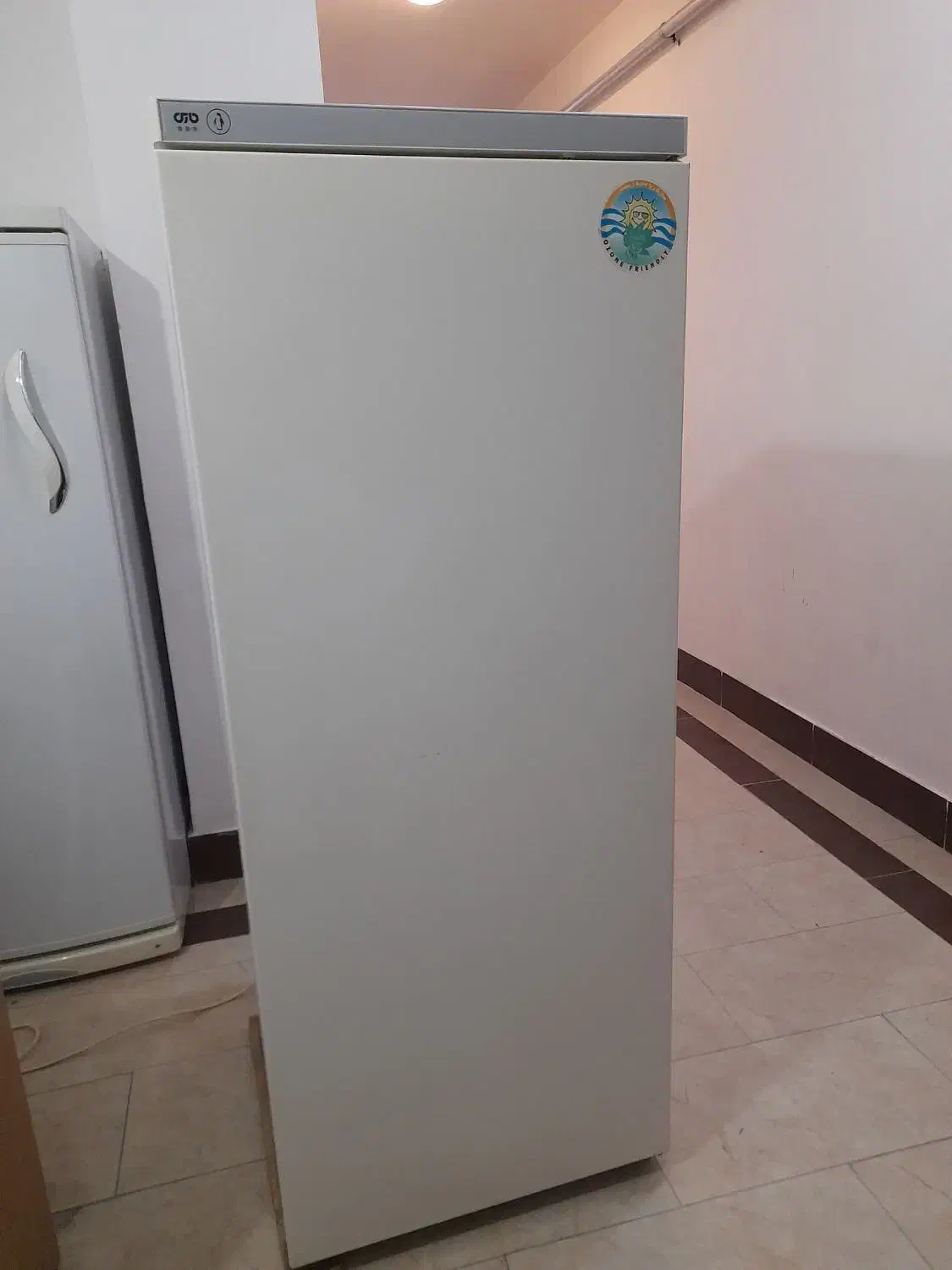 یخچال|یخچال و فریزر|تبریز, |دیوار