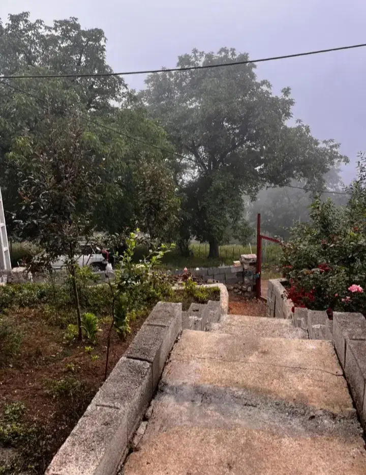 اجاره روزانه|اجارهٔ خانه و ویلا|دالخانی, |دیوار