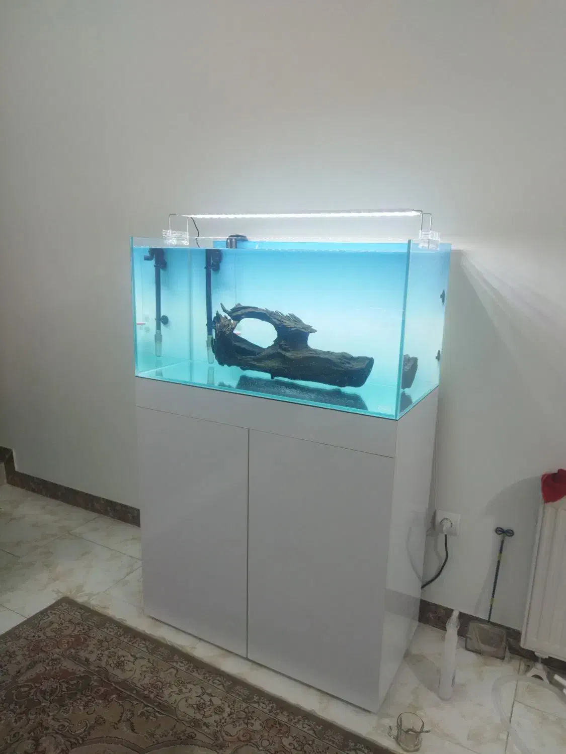 تنه چوب آبنوس ۴/۶۰۰کیلوگرم.آکواریوم.ماهی|ماهی|محمدشهر, شهرک پیام (مهرالبرز)|دیوار