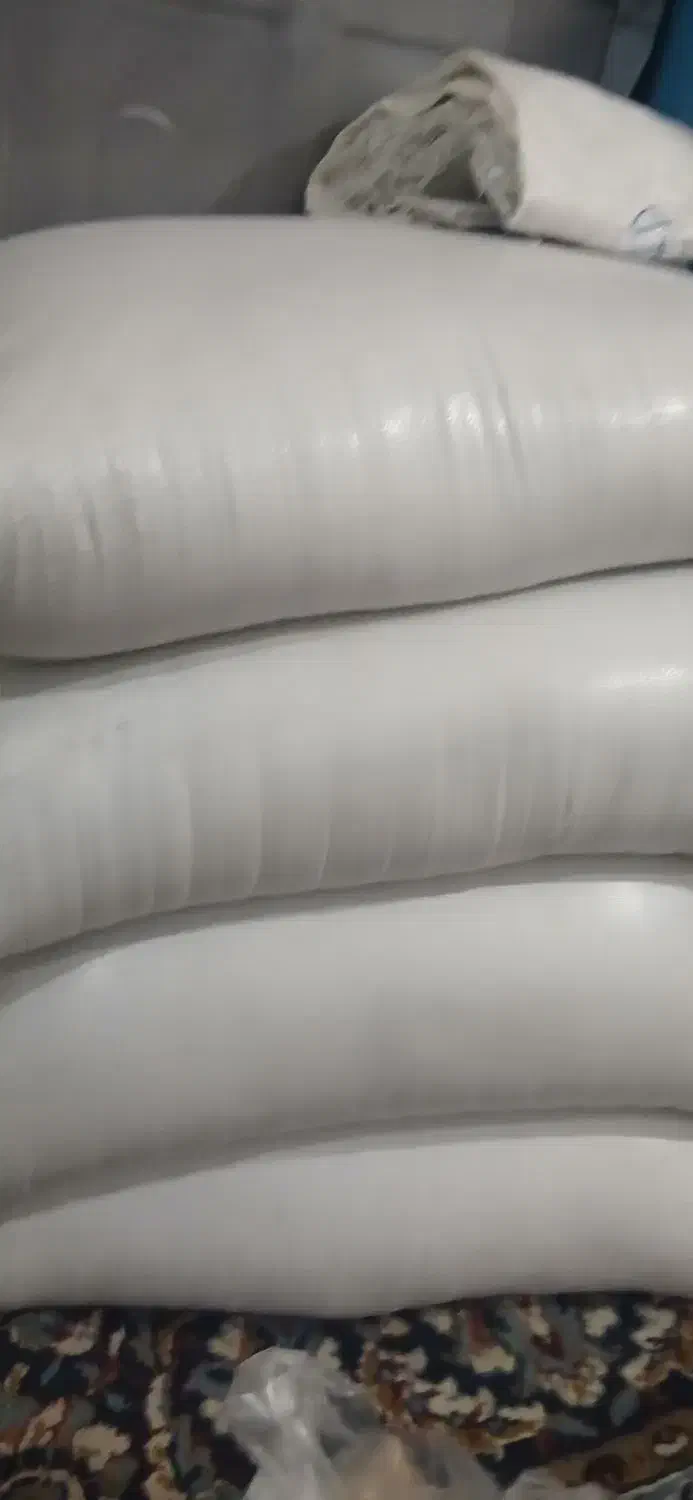 خاک شیر|حراج|بندر کنگان, |دیوار