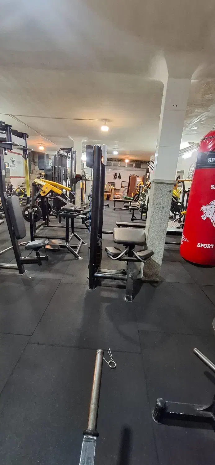 جاروکش باشگاه بدن سازی|تجهیزات ورزشی|تبریز, |دیوار