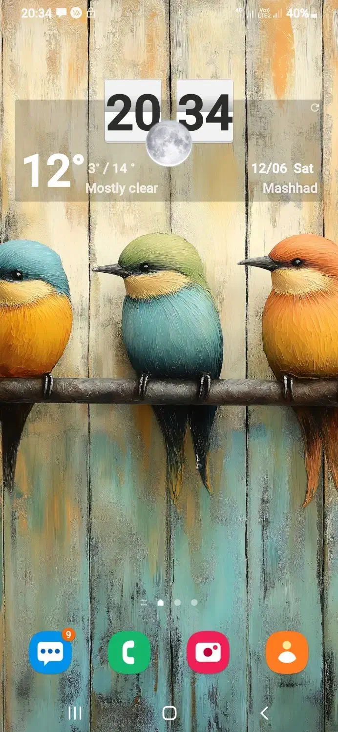 صیفی جات|خوردنی و آشامیدنی|مشهد, سمزقند|دیوار