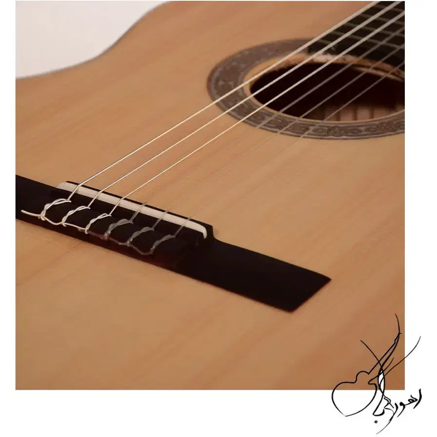 گیتار دوریس دست ساز DS|گیتار، بیس، امپلیفایر|برخوار, |دیوار