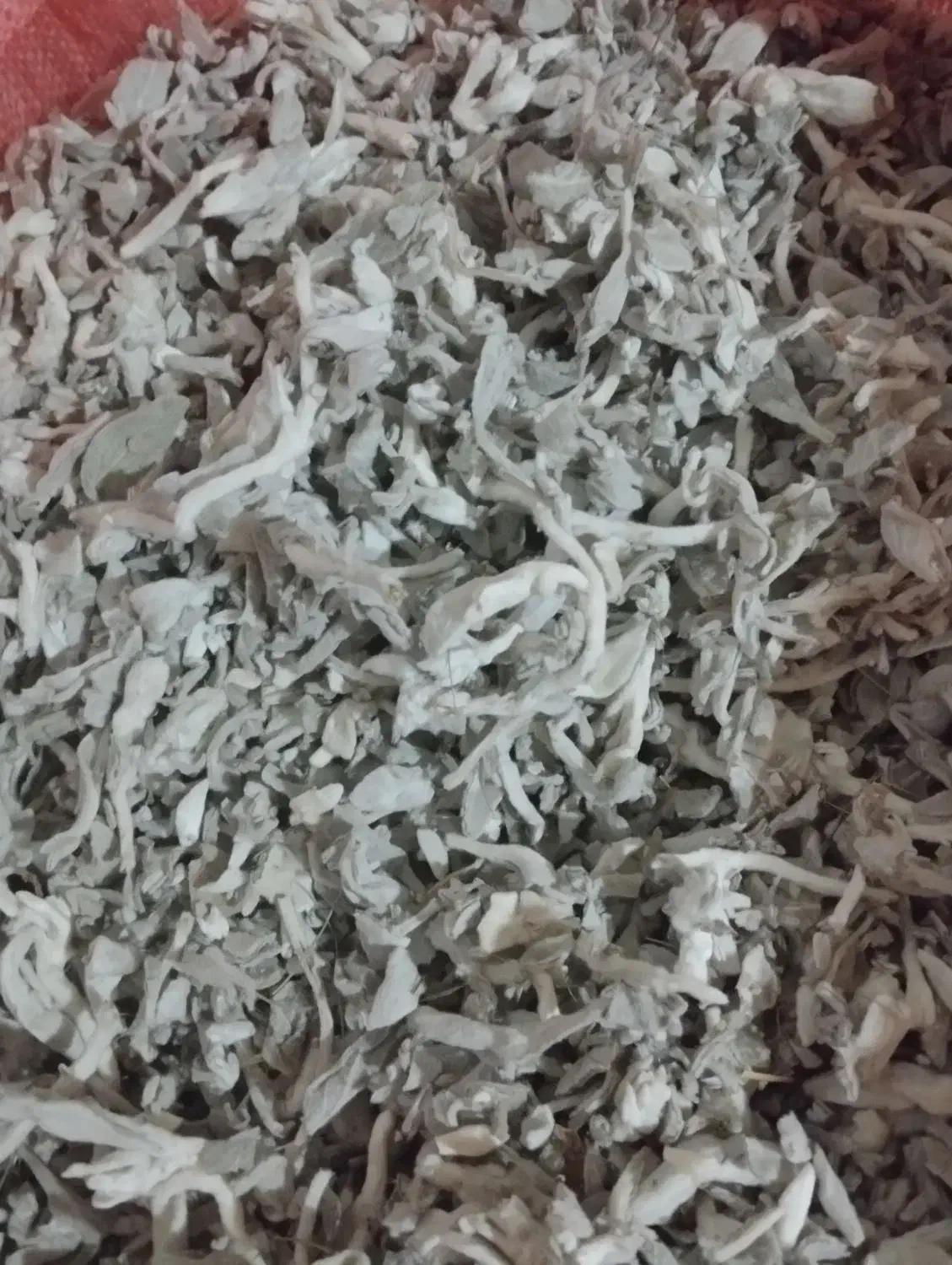 پولک برگ|گل و گیاه طبیعی|نمین, |دیوار