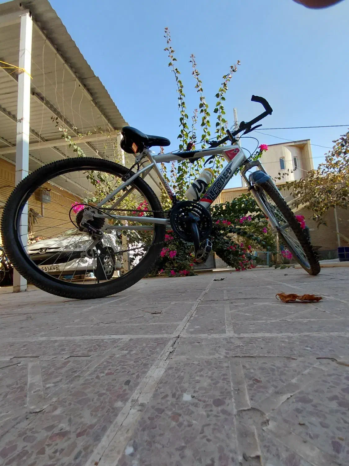 دوچرخه|دوچرخه، اسکیت، اسکوتر|رفسنجان, |دیوار