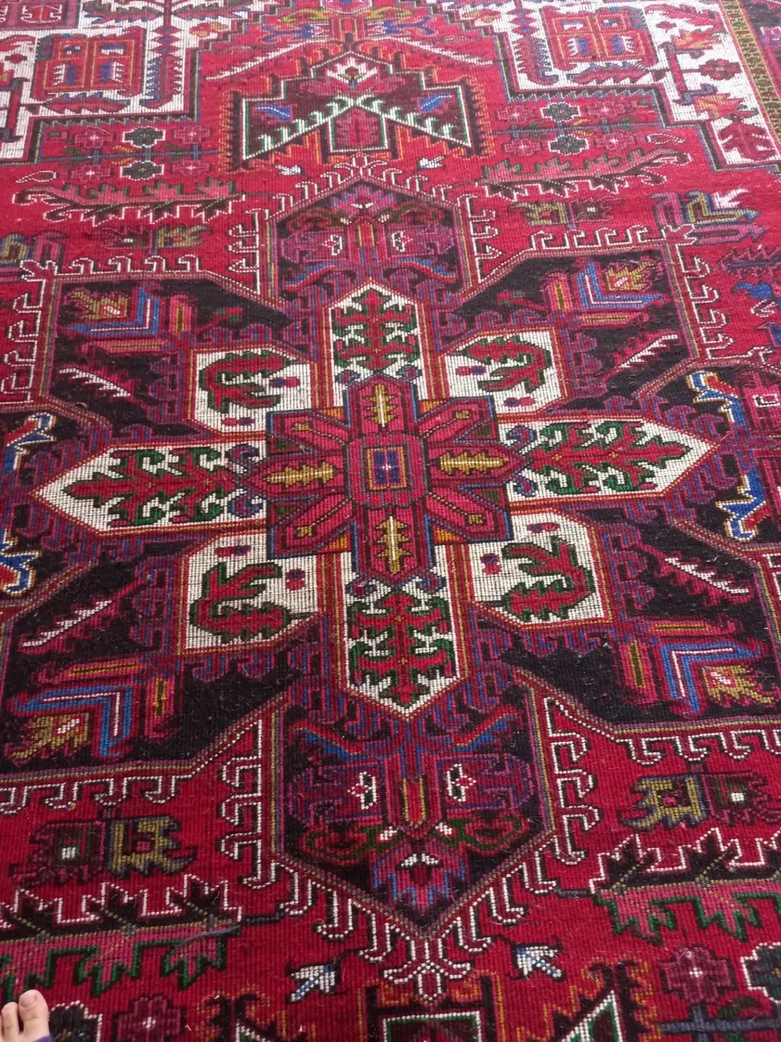 فرش 9متر|فرش|تبریز, |دیوار