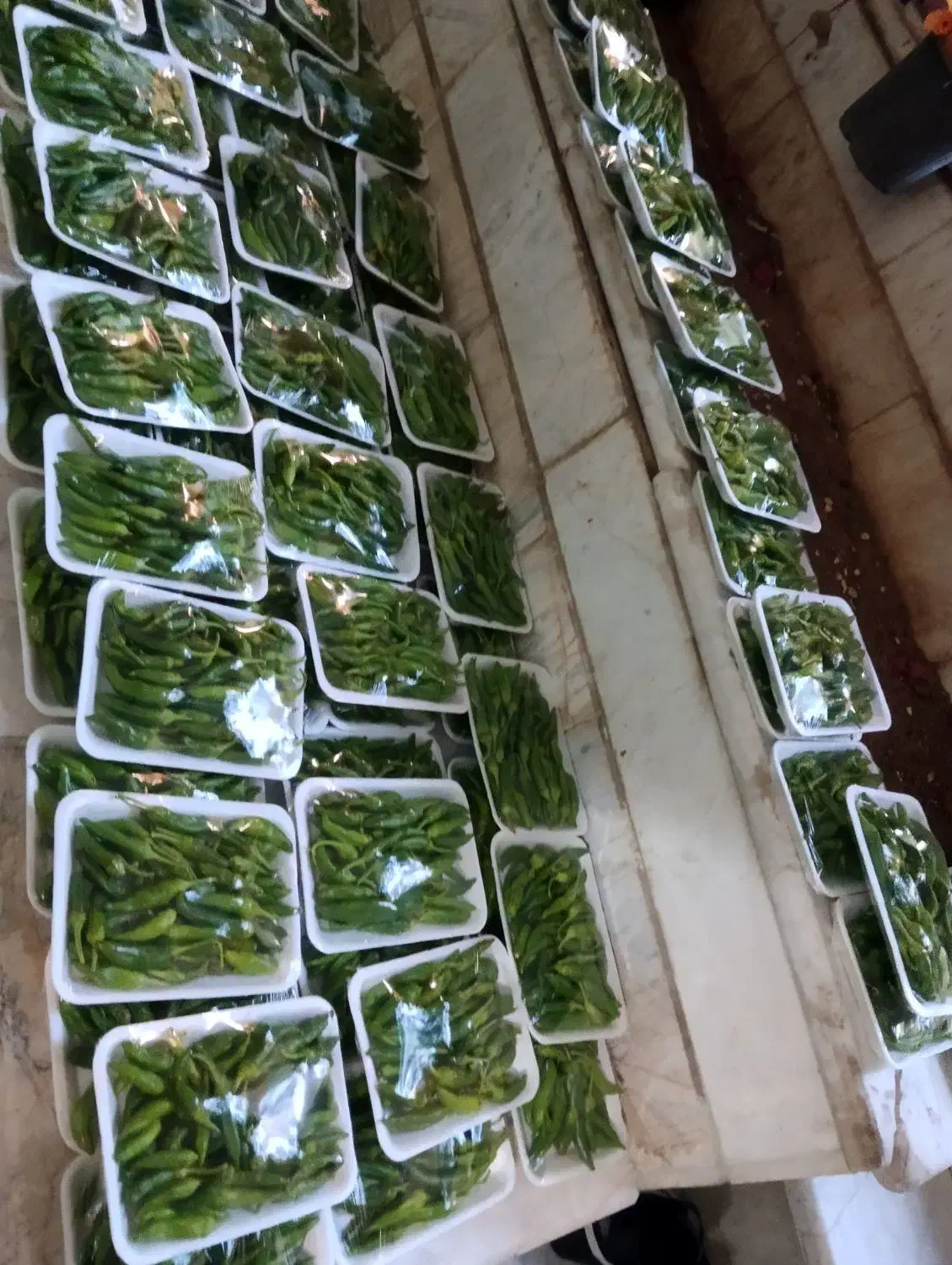 فلفل شیرین بسته بندی|خوردنی و آشامیدنی|قم, منبع آب|دیوار