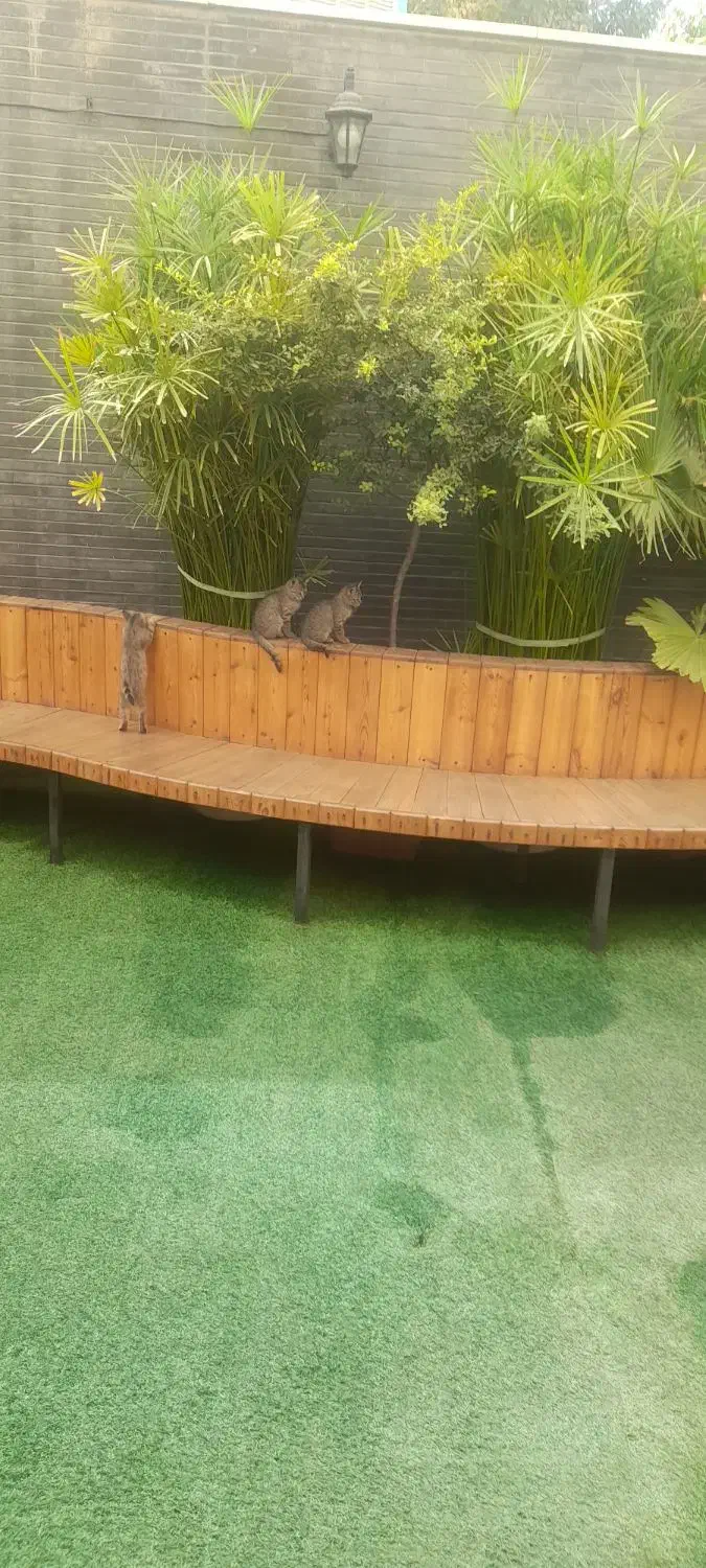 منزل مسکونی|اجارهٔ آپارتمان|خمینیشهر, |دیوار