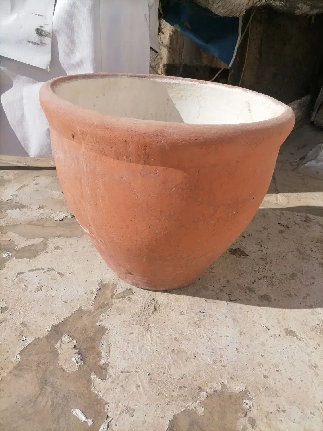 گلدان بزرگ سفالی|گل و گیاه طبیعی|بیرجند, |دیوار