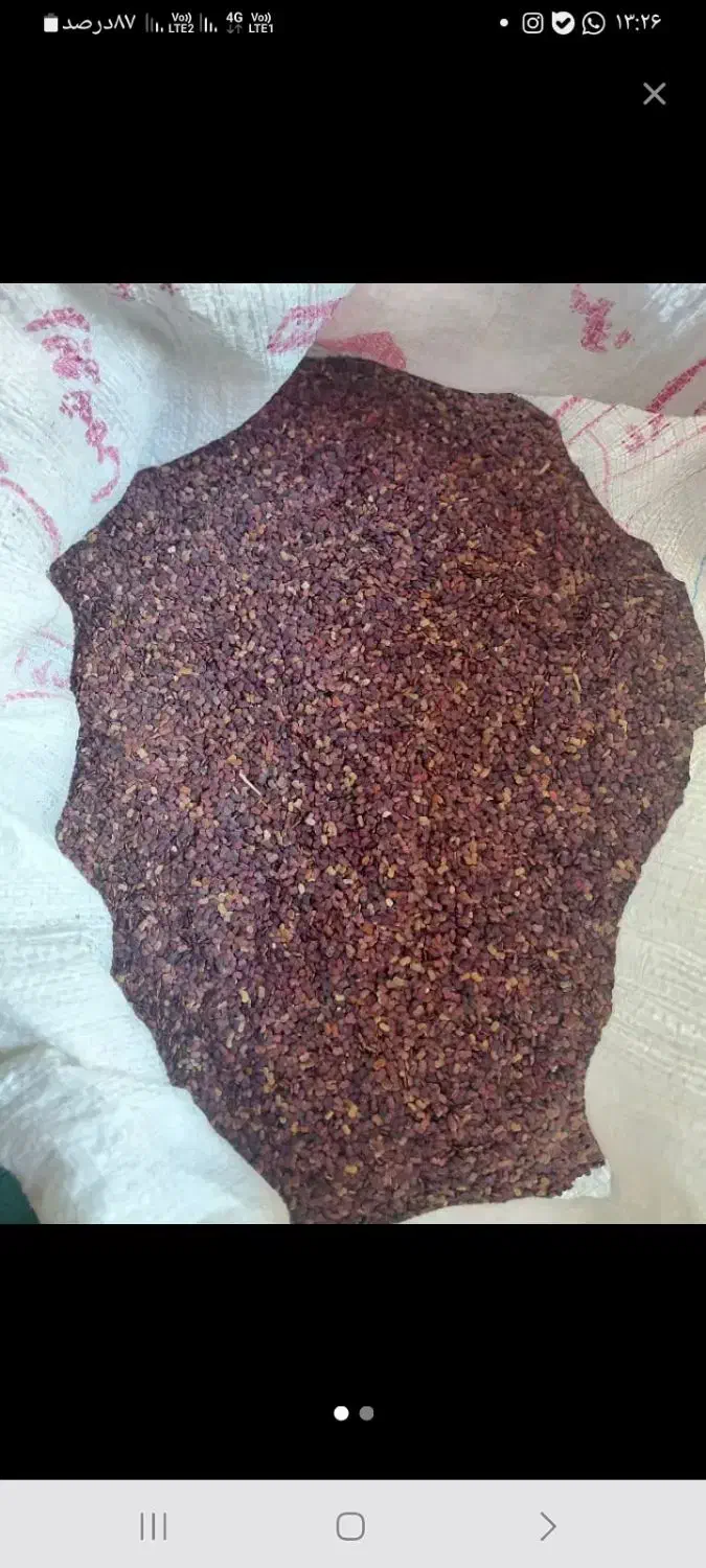 بنی تلخه|خوردنی و آشامیدنی|شیراز, حومه شیراز|دیوار