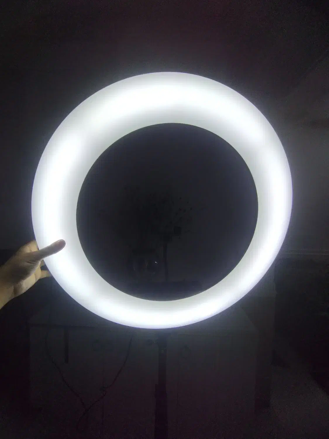 رینگ لایت|لوازم جانبی موبایل و تبلت|گرگان, |دیوار