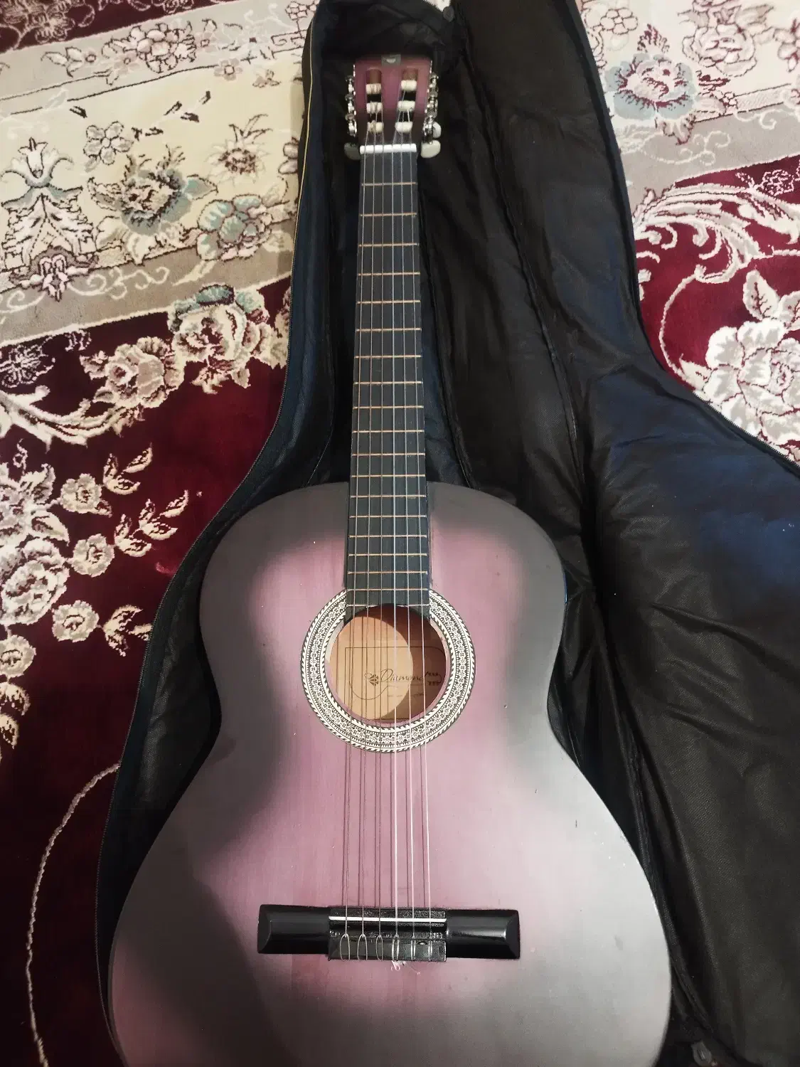 گیتار نو نو معاوضه با آیفون 7.6..128گ|گیتار، بیس، امپلیفایر|ایلام, |دیوار