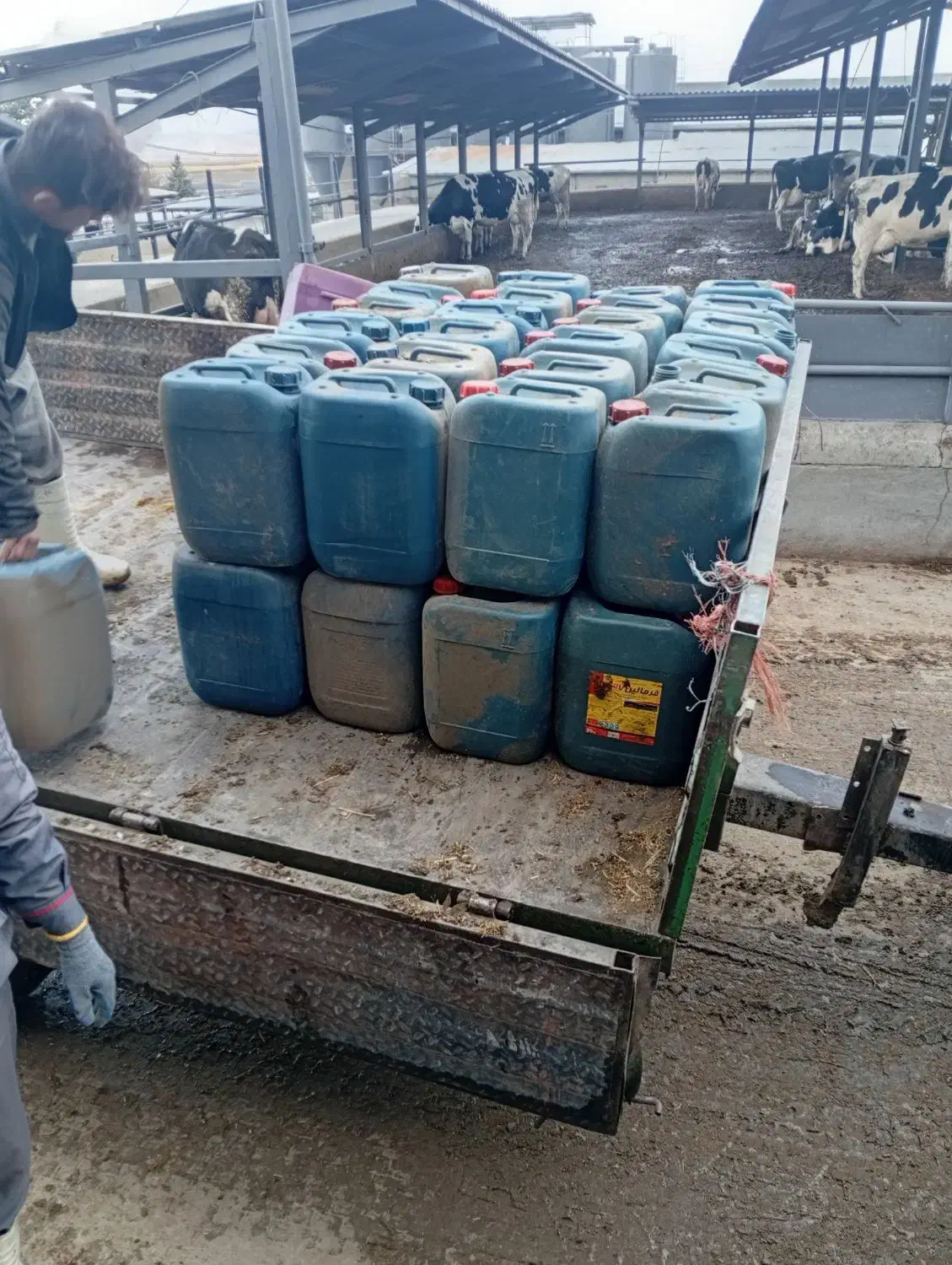 فروش دبه 20لیتری جای محلول  ضدعفونی  تمیز|ظروف نگهدارنده، پلاستیکی، یک‌بارمصرف|کرمانشاه, |دیوار