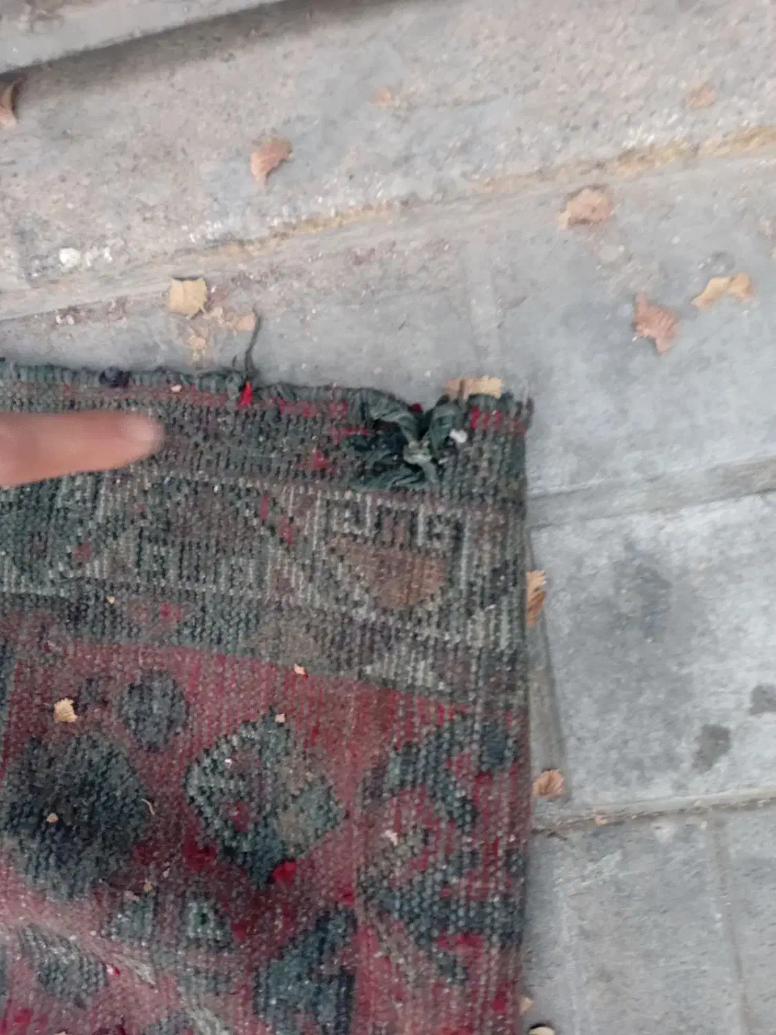 فرش  ۴  متری قدیمی عتیقه با عروس هلندی|فرش|یزد, |دیوار