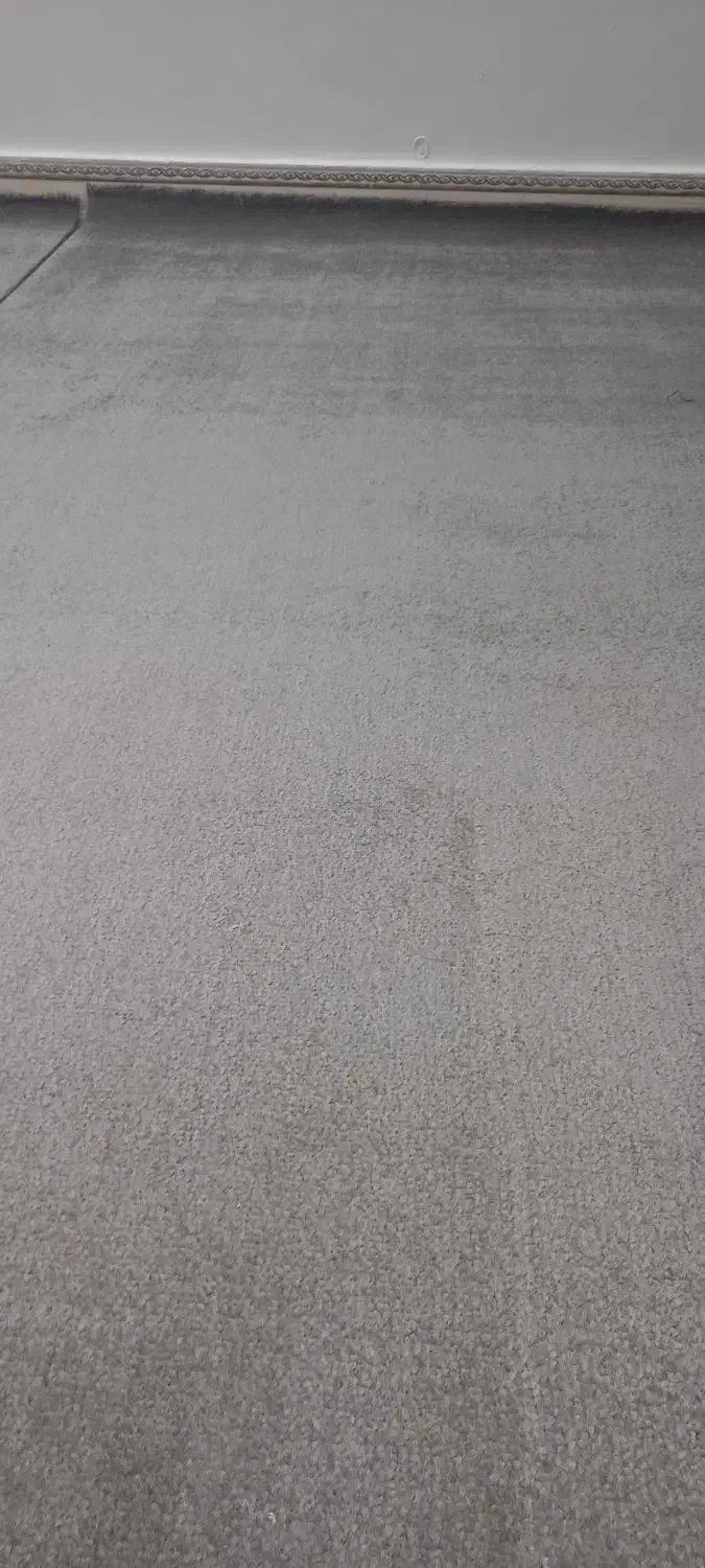 موکت در حد نو بهترین جنس بهفروش می رسد|موکت|اهواز, کیانشهر|دیوار