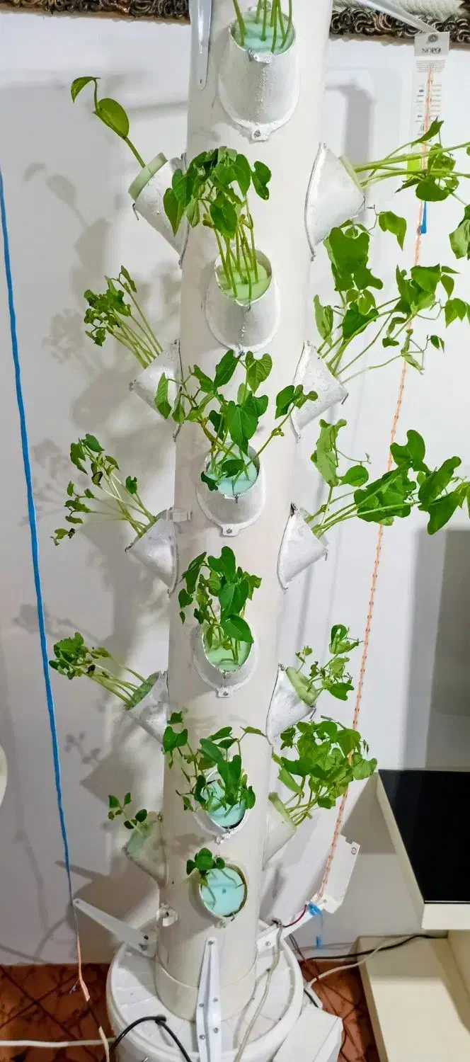 ستون کشت هیدروپونیک|گل و گیاه طبیعی|تهران, بازار|دیوار