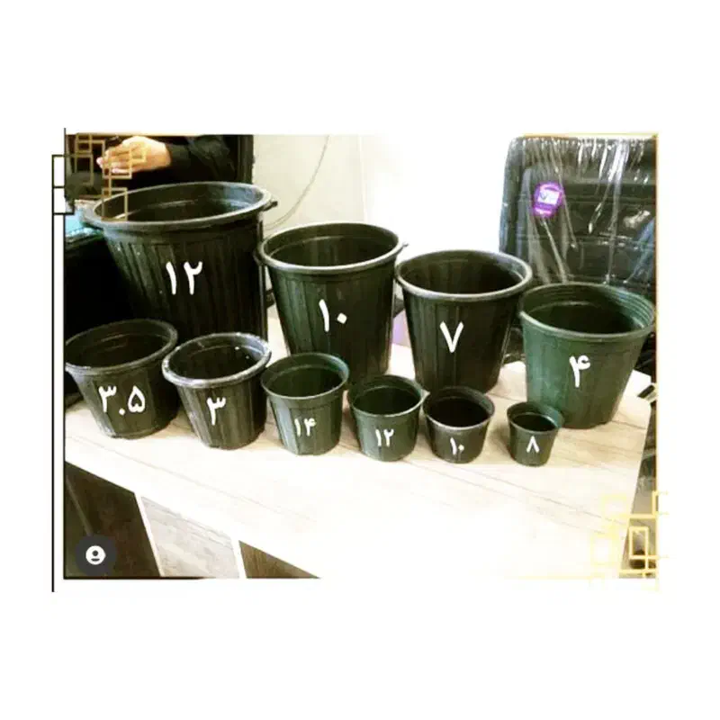 گلدان مشکی و پاکت نشا|گل و گیاه طبیعی|اردبیل, |دیوار