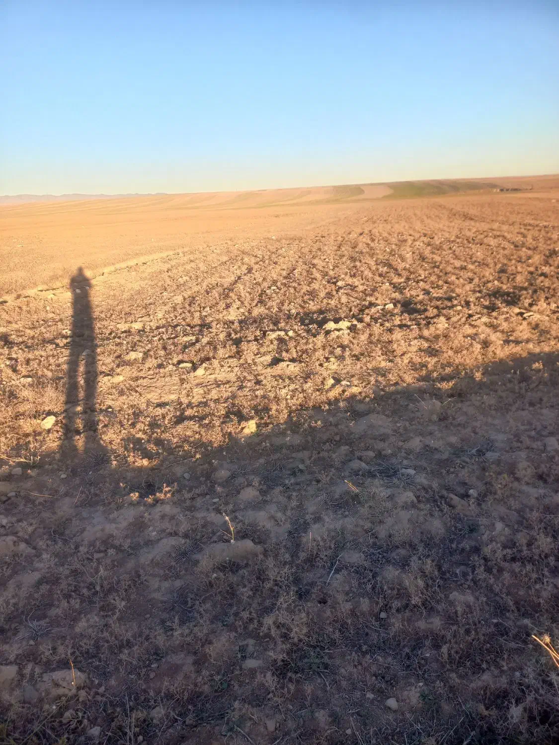 زمین زراعی مناسب دامداری و انباری|فروش دفتر صنعتی، کشاورزی، تجاری|ارشق, |دیوار