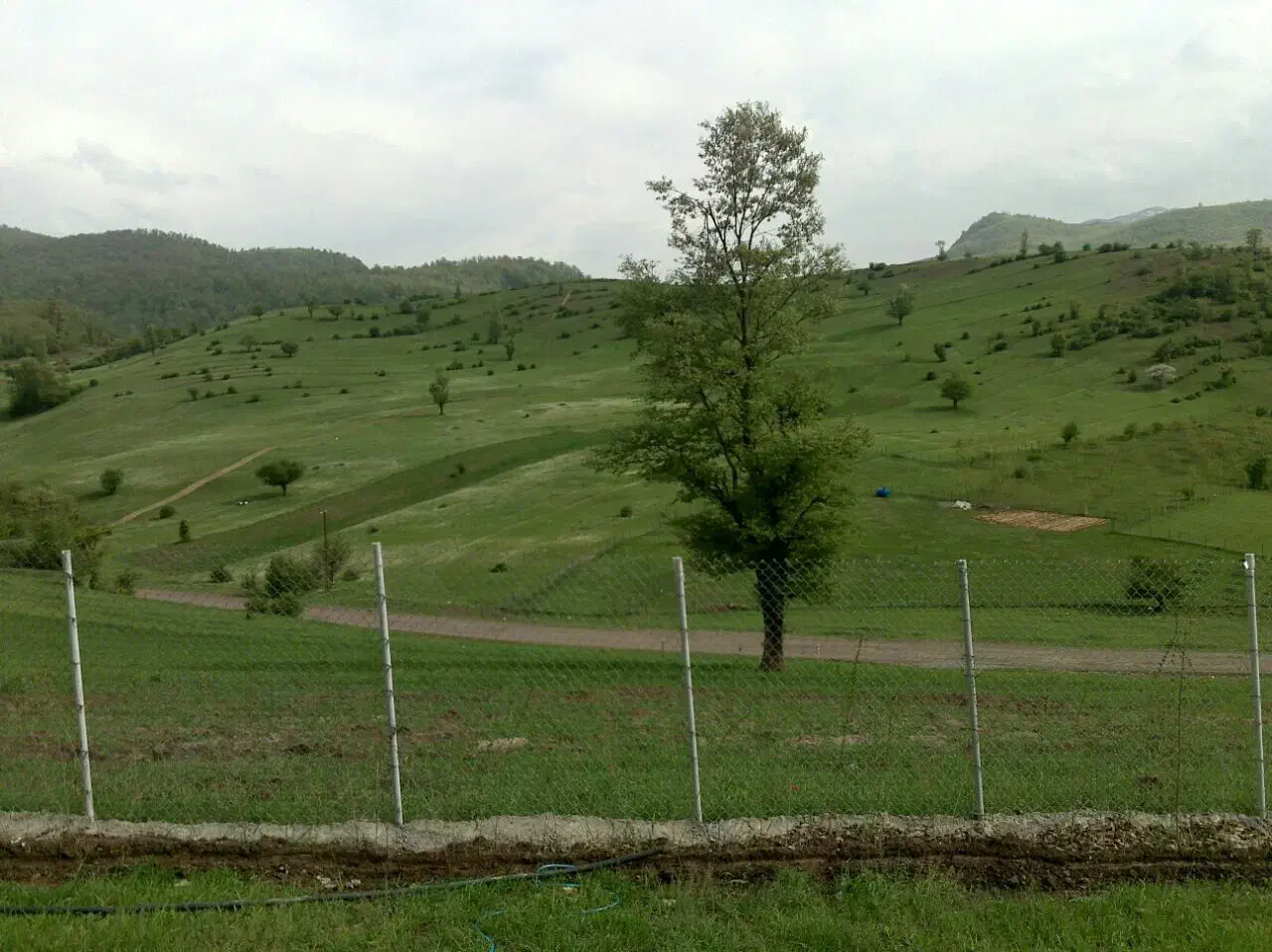 اجرای فنس ودیوار|خدمات باغبانی و درختکاری|رودبار, |دیوار