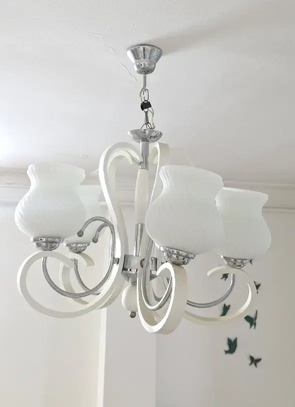 دو عدد لوستر ۵ شاخه|لوستر و چراغ آویز|علی‌آباد کتول, |دیوار