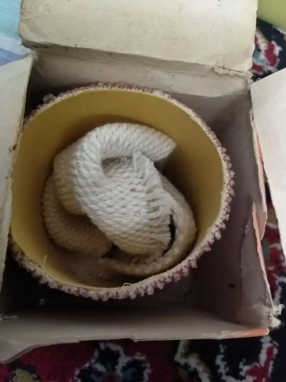 اشیائ عتیقه|کلکسیون اشیاء عتیقه|اهواز, زیتون کارگری|دیوار