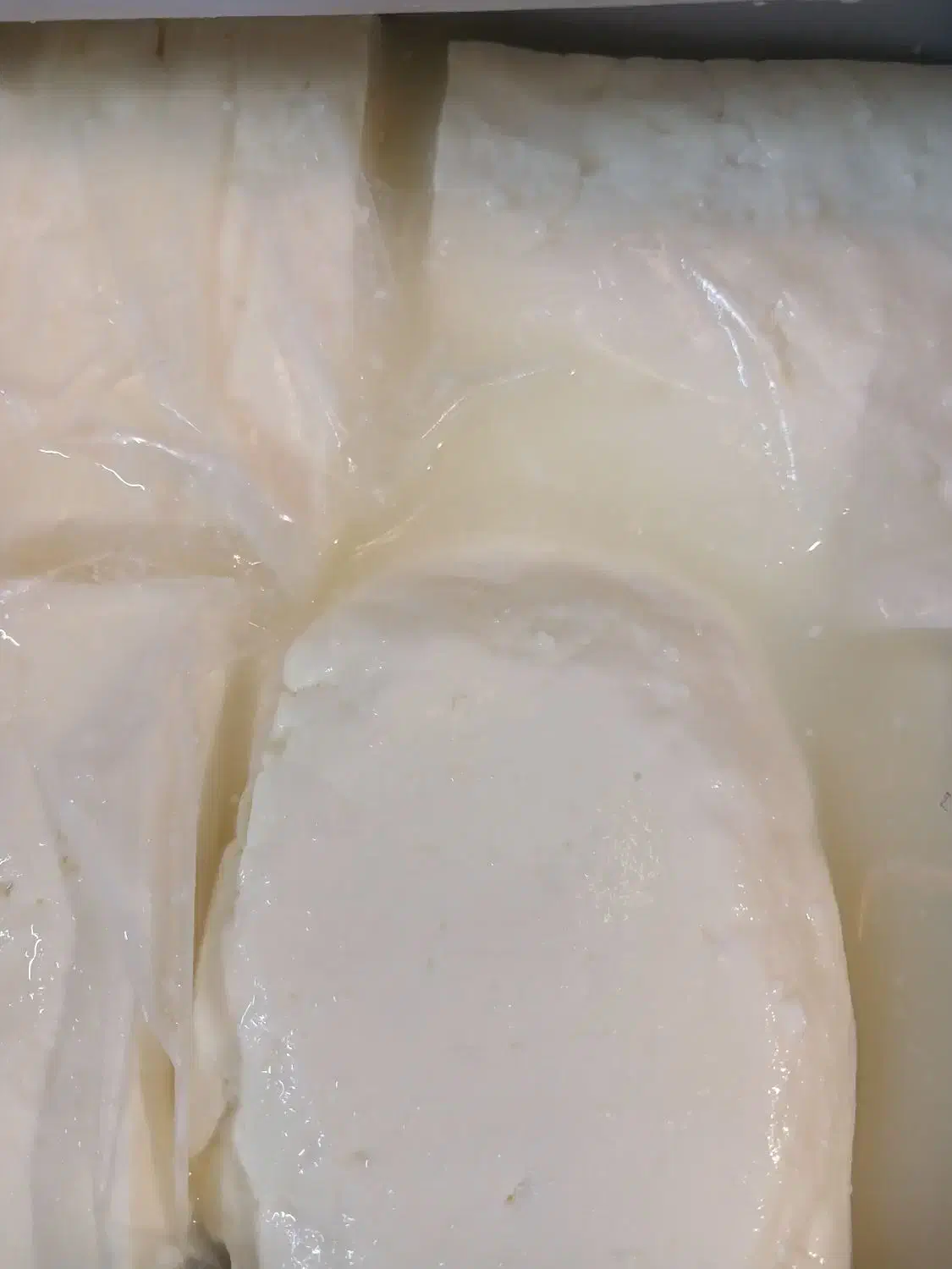 پنیر تبریز|خوردنی و آشامیدنی|نسیمشهر, |دیوار