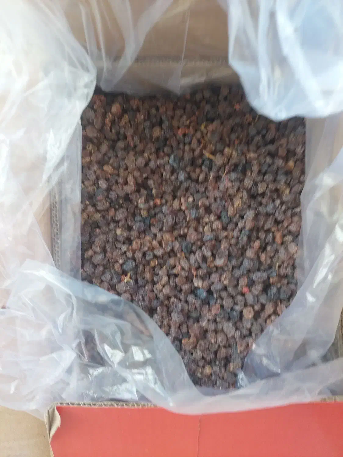 کشمش آفتابی پلویی|عمده‌فروشی|ساوه, |دیوار