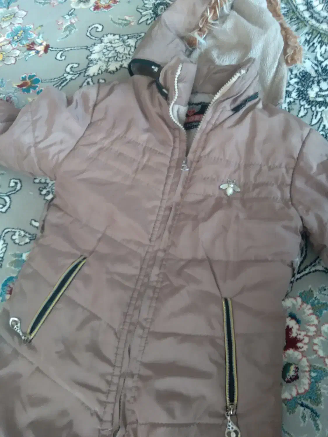 کاپشن قهوه‌ای|لباس|قیدار, |دیوار