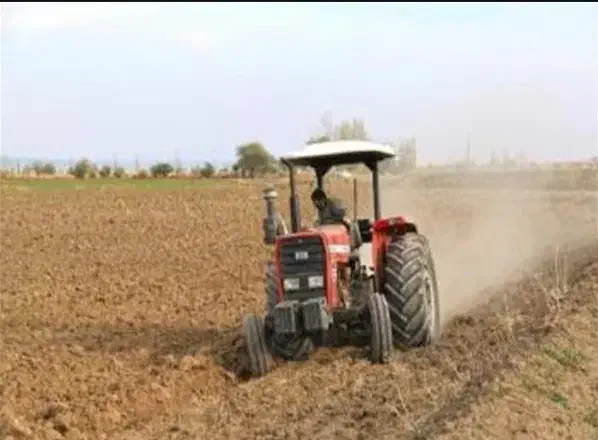 ۴هکتار زمین کشاورزی جاده سد دز|اجارهٔ دفتر صنعتی، کشاورزی، تجاری|اندیمشک, |دیوار