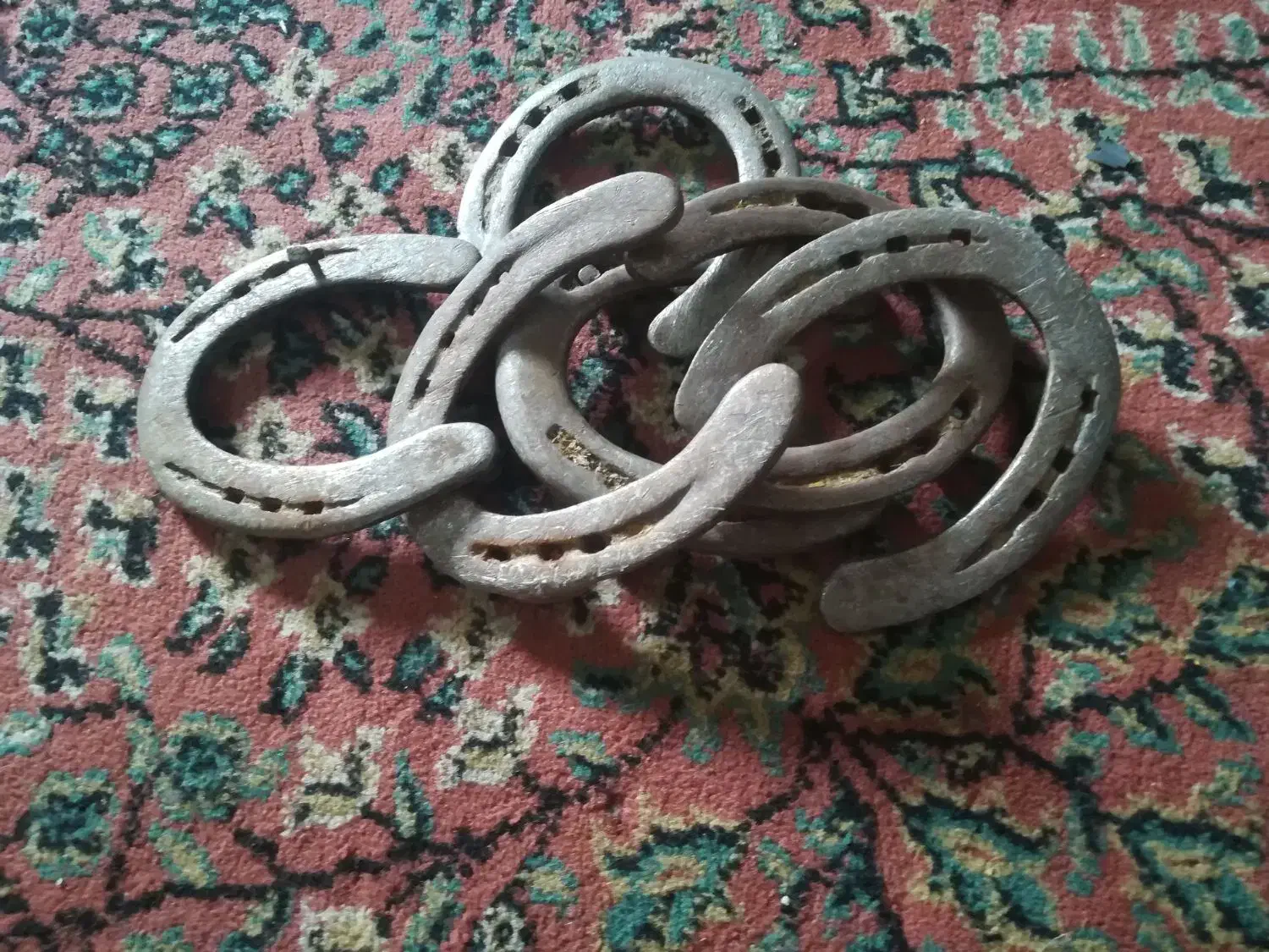 نعل کار کرده خورموج|اسب و تجهیزات اسبسواری|بوشهر, |دیوار