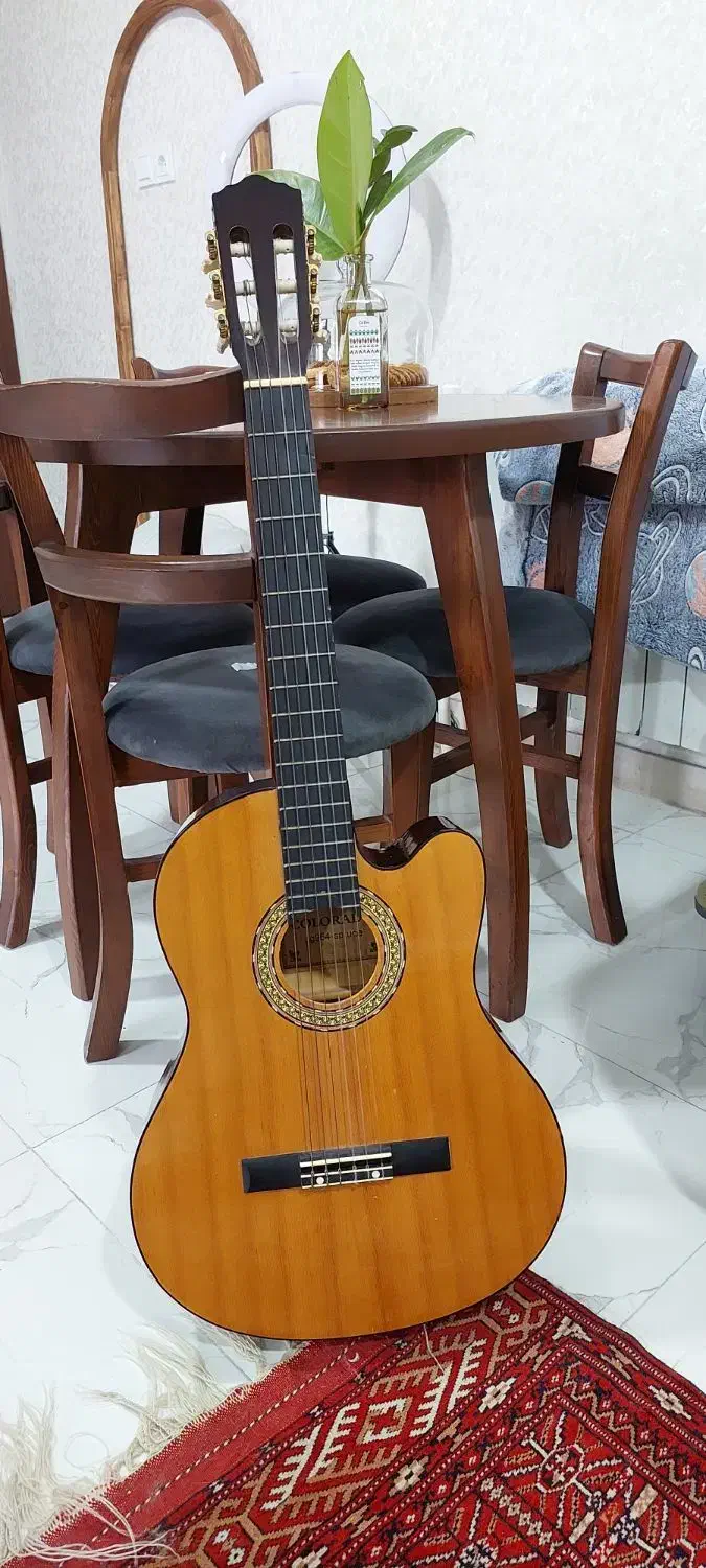 گیتار با کتاب و کیف|گیتار، بیس، امپلیفایر|لاهیجان, شیشه گران|دیوار