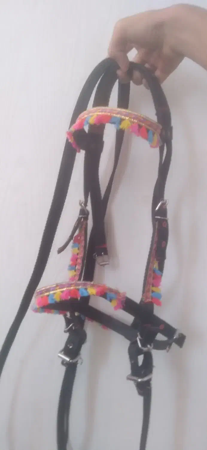 کلگی دست جلو اسب|اسب و تجهیزات اسبسواری|اردکان, |دیوار