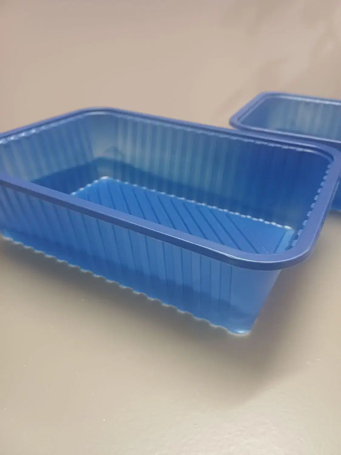 ظرف قارچ ۱ کیلیویی|ظروف نگهدارنده، پلاستیکی، یکبارمصرف|مشهد, خواجه ربیع|دیوار