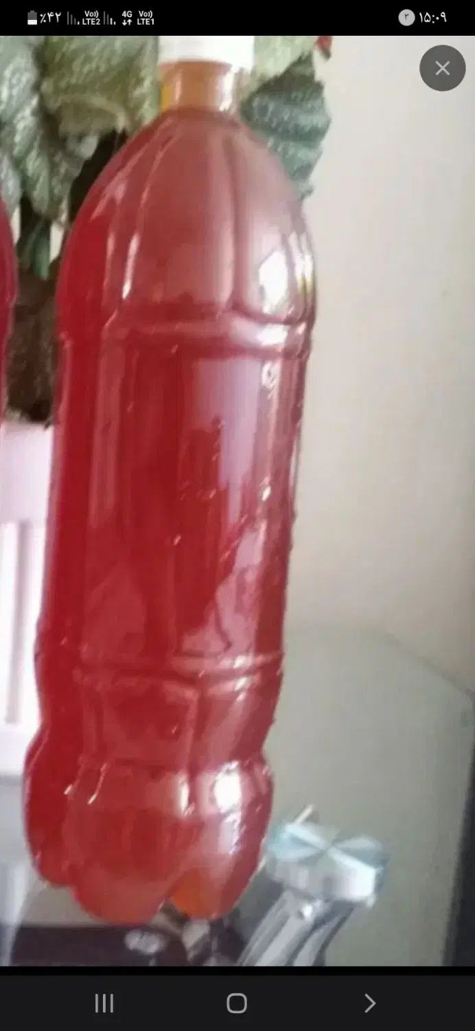 ابغوره|خوردنی و آشامیدنی|کاشان, میدان میوه تره بار|دیوار