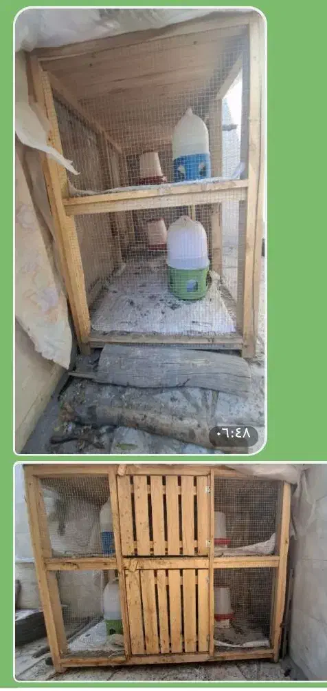 قفس دوطبقه|لوازم جانبی حیوانات|لنجان, |دیوار