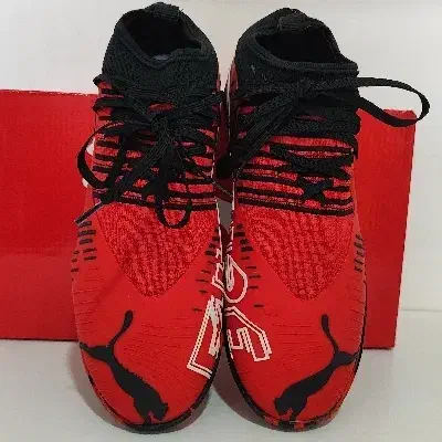 کفش سالنی پوما فیوچر|تجهیزات ورزشی|فردوس (خراسان), |دیوار