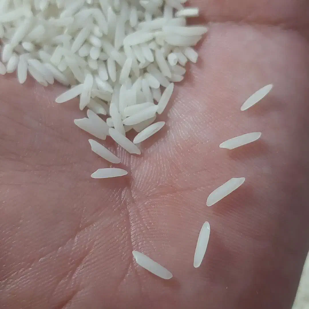 برنج هاشمی درجه یک گیلان آستانه اشرفیه|خوردنی و آشامیدنی|آستانه اشرفیه, |دیوار