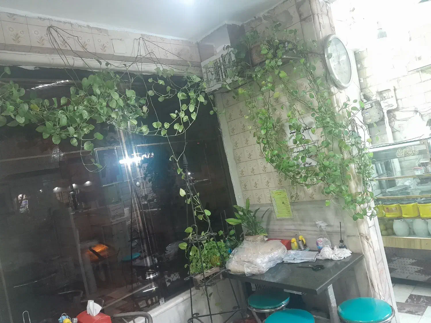 بعلت تغییر تحول این گلها بفروش  میرسدقیمت ۲میلیون|گل و گیاه طبیعی|تهران, حشمتیه|دیوار