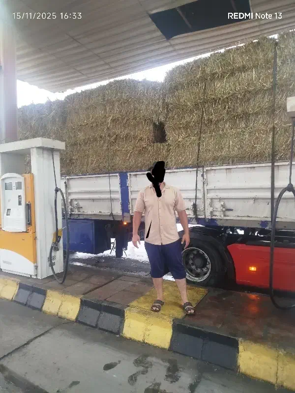 سوفال نیشکر|عمدهفروشی|گنبد کاووس, |دیوار